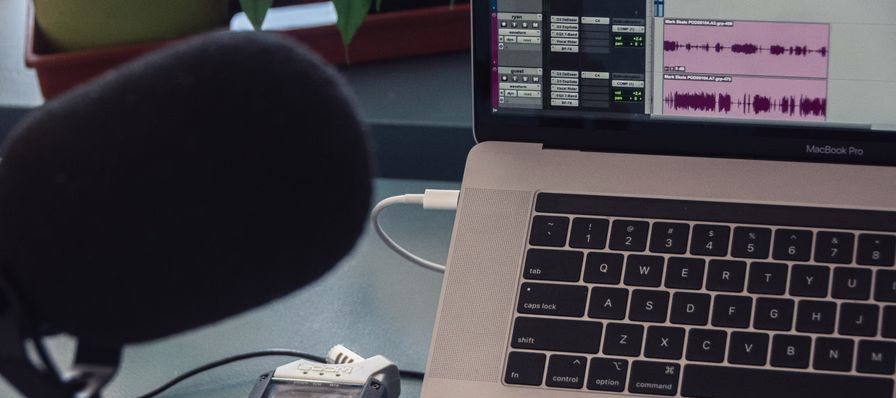 Interfaz de Wavosaur mostrando una onda de audio abierta para editar en Windows