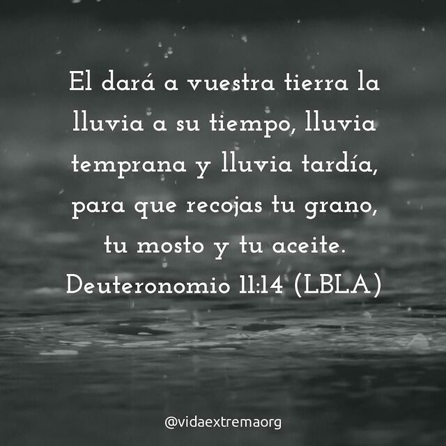 Deuteronomio 11:14