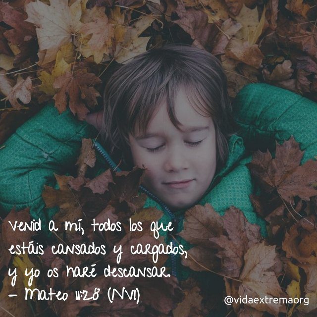 Mateo 11:28