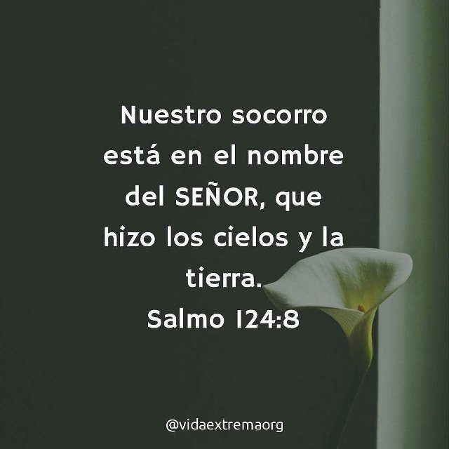 Salmos 124:8