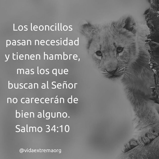 Salmos 34:10