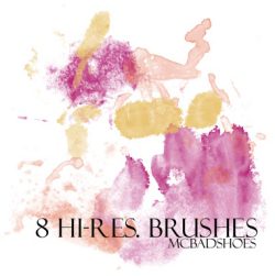 Brushes 18