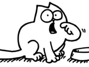 simon's cat