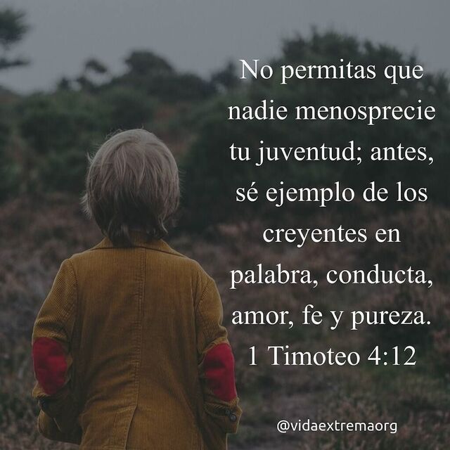 1 Timoteo 4:12 (LBLA)