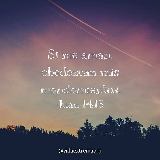Juan 14:15 (NTV)