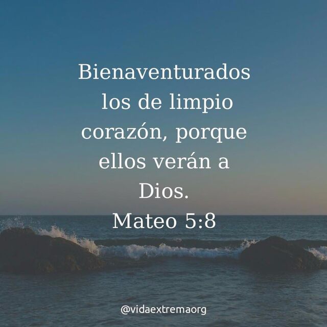 Mateo 5:8 (RVR1960)