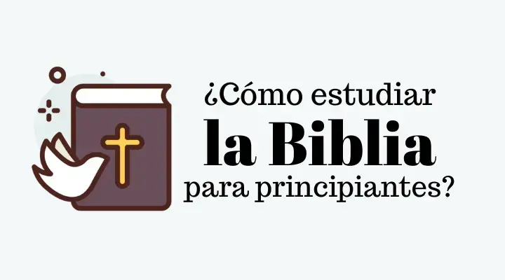 ¿Cómo estudiar la Biblia para principiantes?