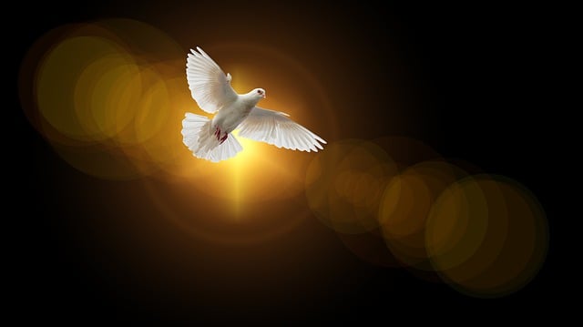 ¿Quién es el Espíritu Santo? Obra, identidad y guía