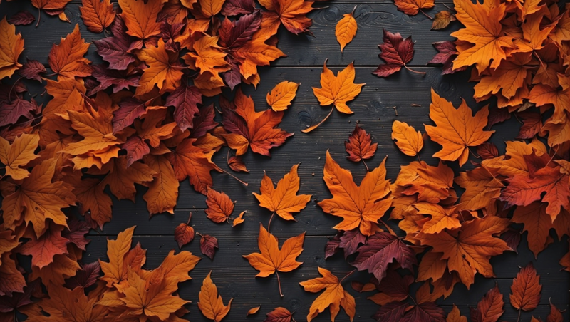 fall wallpapers 1